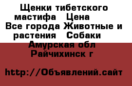 Щенки тибетского мастифа › Цена ­ 80 - Все города Животные и растения » Собаки   . Амурская обл.,Райчихинск г.